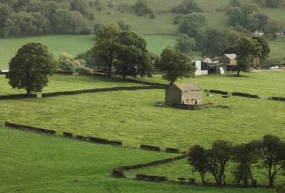 Stiff Close Stiff Close in the Dove Valley near Longnor
