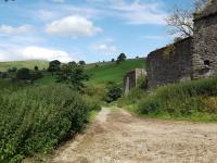 Narrowdale