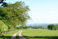 Champion Farm
